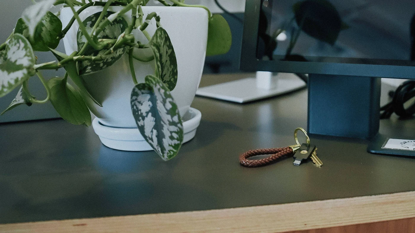Sigurnosni ključ na privjesku leži na uredskom stolu uz biljku
